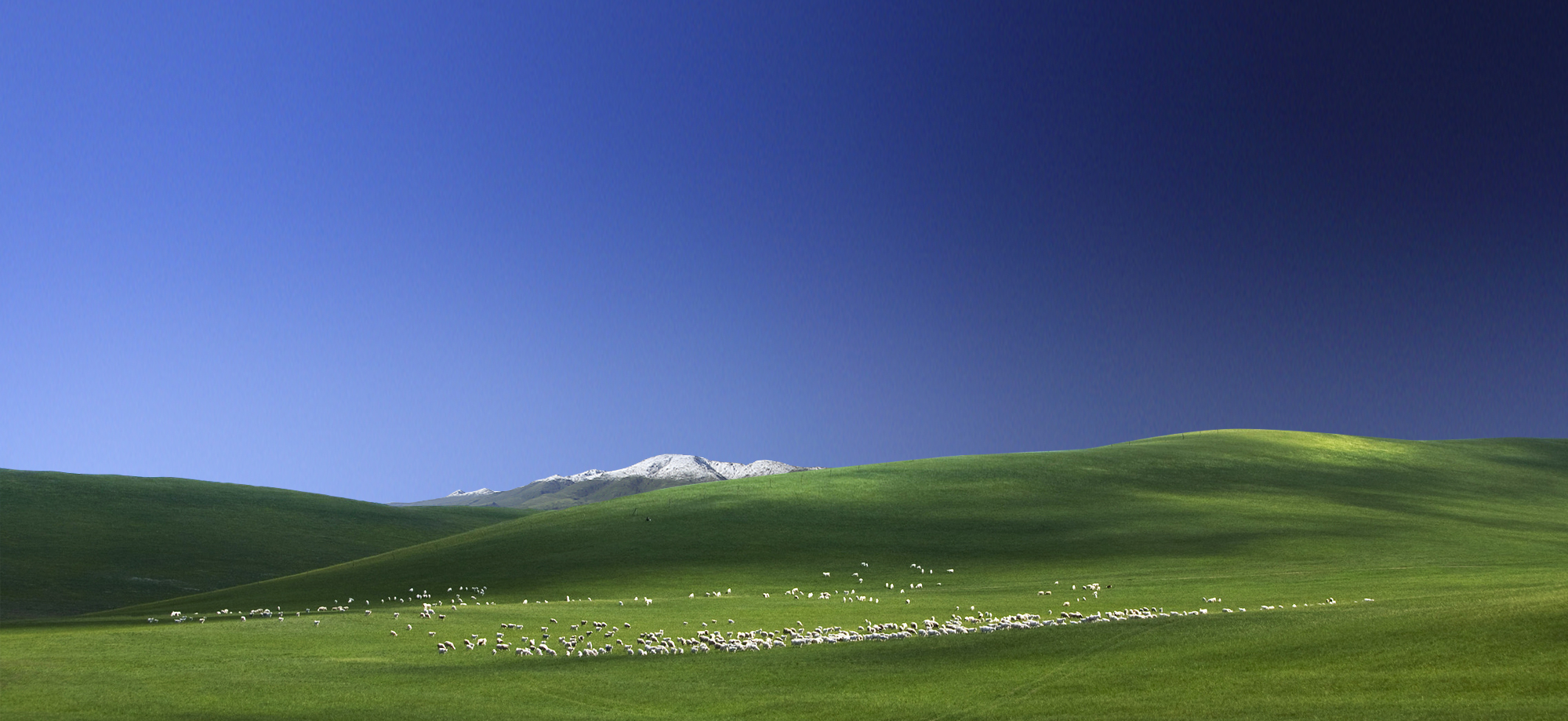 亿万28(中国)官网登录入口