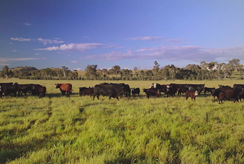 亿万28(中国)官网登录入口